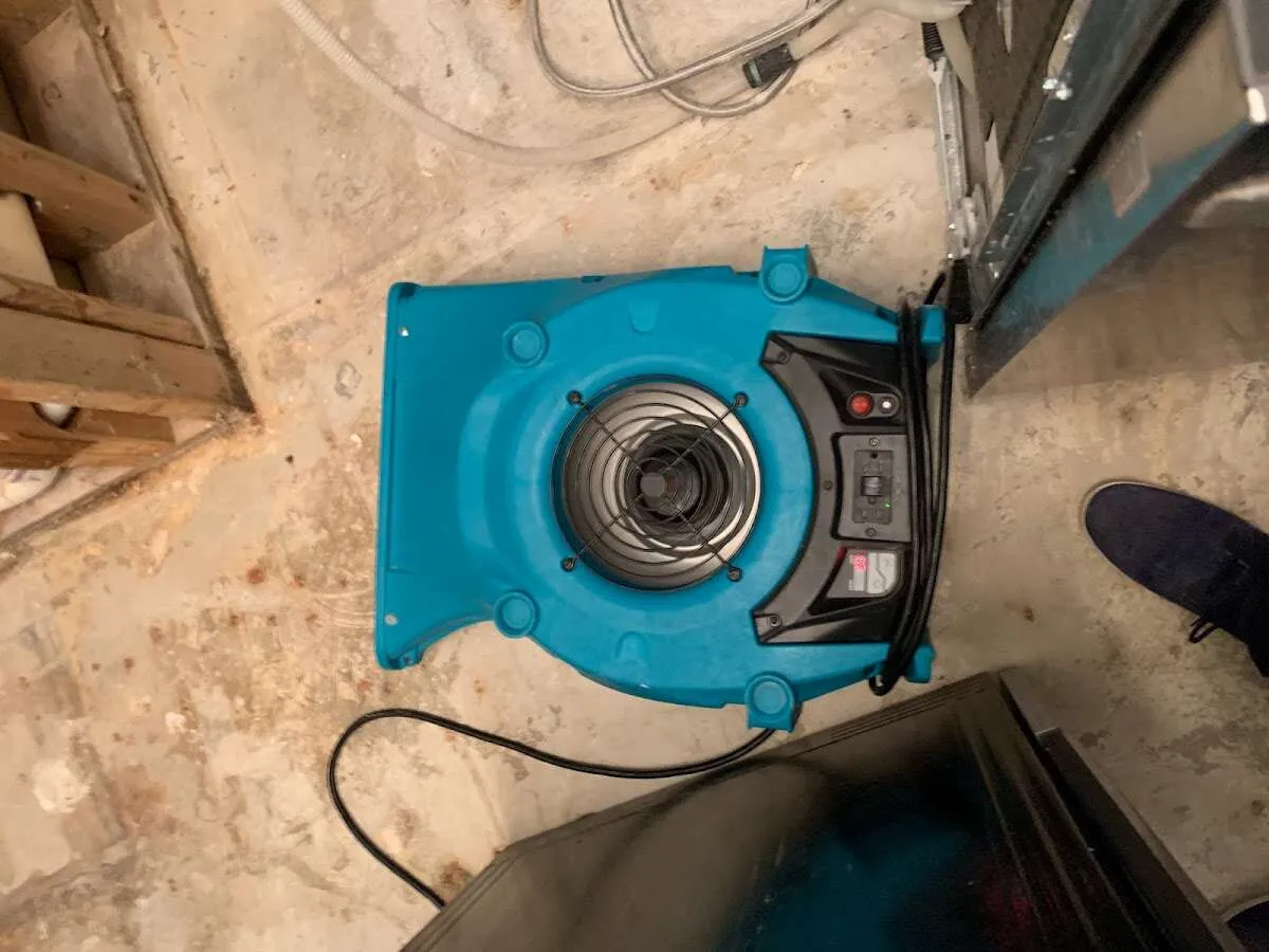 Air mover drying equipment for Mold Remediation & Removal in Marietta
